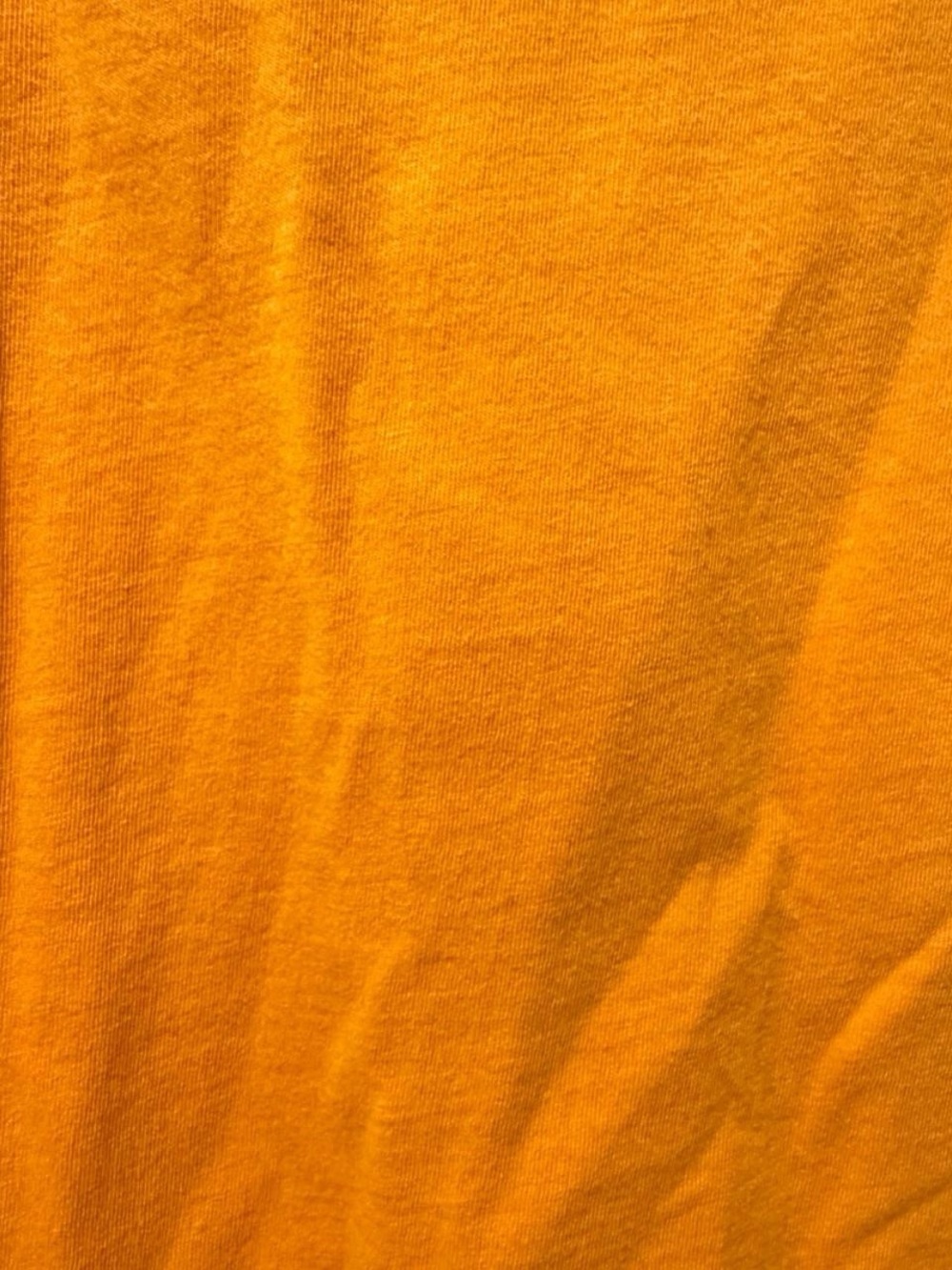 Levi's Orange Long Sleeve Tee with Blue Mountain Graphic and Red Logo - Picture 4 of 5
